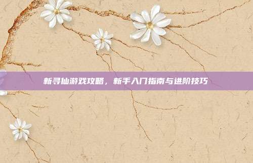 新寻仙游戏攻略，新手入门指南与进阶技巧