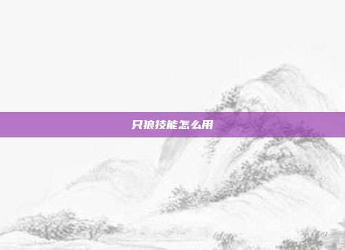 只狼技能怎么用