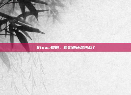 Steam国服,新机遇还是挑战?