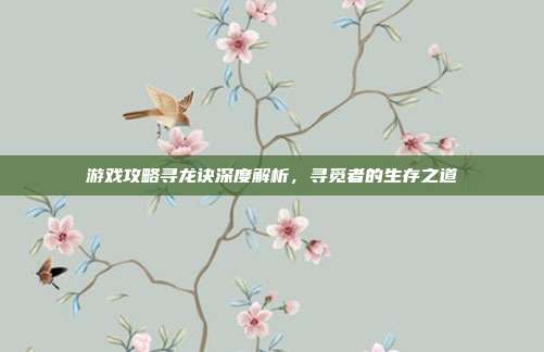 游戏攻略寻龙诀深度解析，寻觅者的生存之道