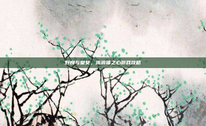野良与皇女，流浪猫之心游戏攻略