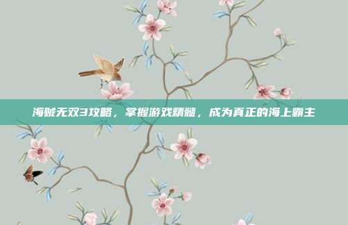 海贼无双3攻略,掌握游戏精髓,成为真正的海上霸主