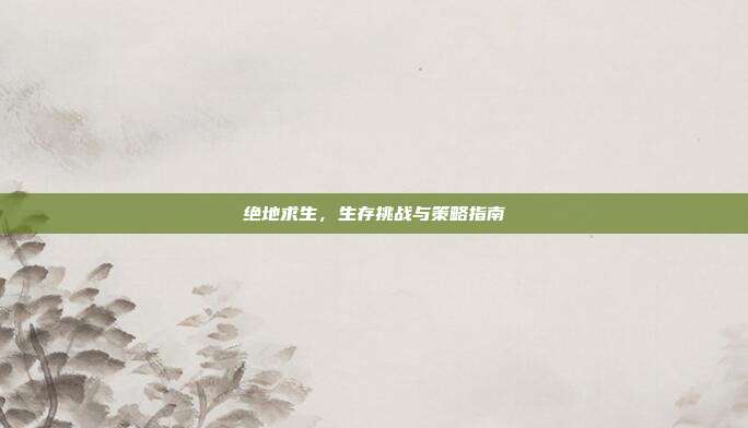 绝地求生，生存挑战与策略指南
