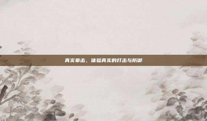 真实拳击,体验真实的打击与防御
