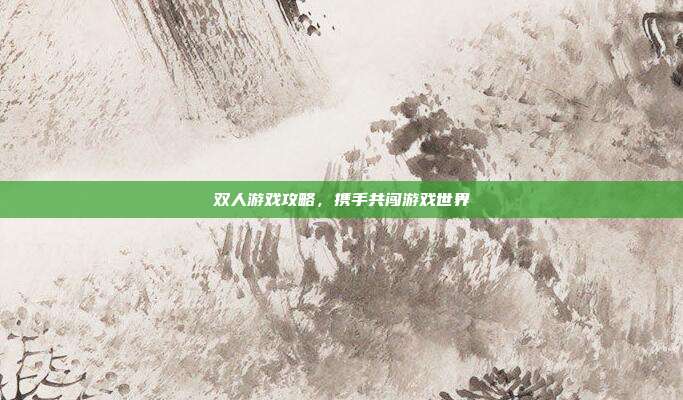 双人游戏攻略，携手共闯游戏世界