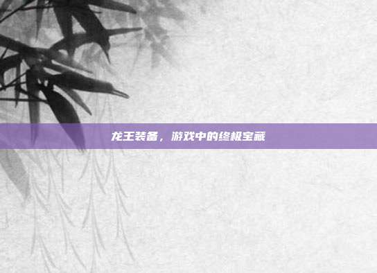 龙王装备,游戏中的终极宝藏