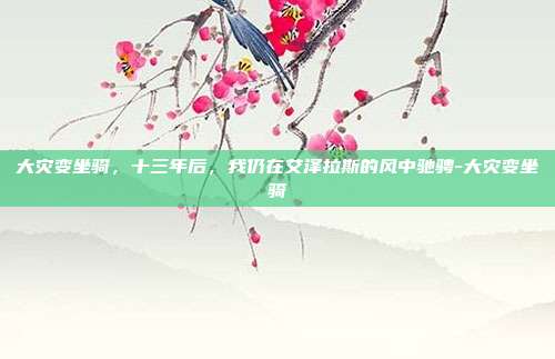 大灾变坐骑,十三年后,我仍在艾泽拉斯的风中驰骋-大灾变坐骑