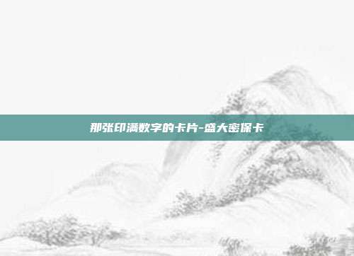 那张印满数字的卡片-盛大密保卡
