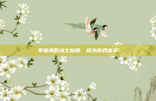 掌握赤影战士秘籍，成为游戏高手