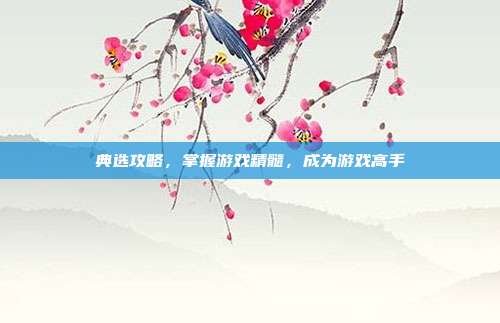典选攻略,掌握游戏精髓,成为游戏高手