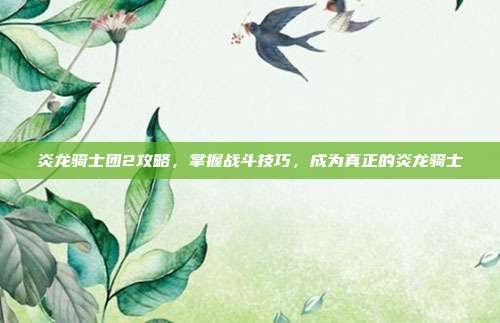 炎龙骑士团2攻略,掌握战斗技巧,成为真正的炎龙骑士