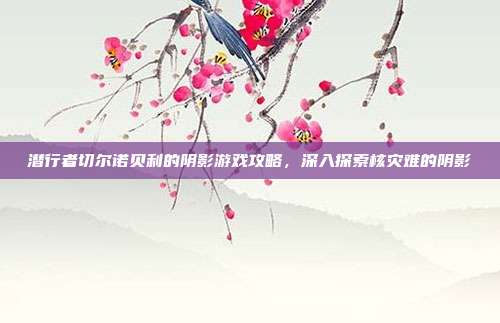潜行者切尔诺贝利的阴影游戏攻略,深入探索核灾难的阴影