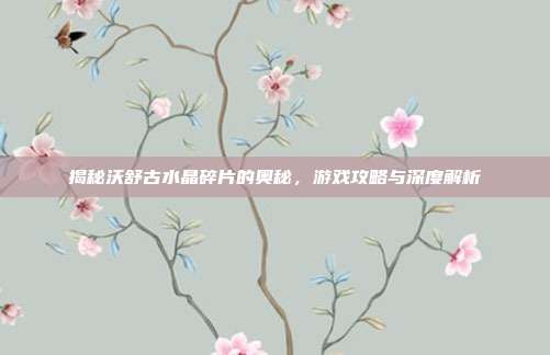 揭秘沃舒古水晶碎片的奥秘，游戏攻略与深度解析