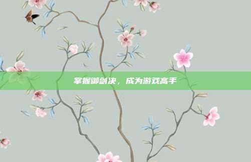 掌握御剑决，成为游戏高手