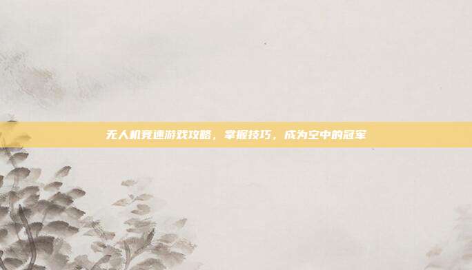 无人机竞速游戏攻略，掌握技巧，成为空中的冠军