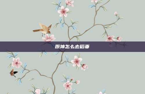 原神怎么去稻妻