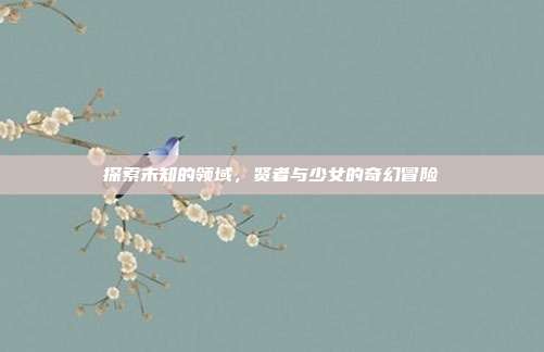 探索未知的领域,贤者与少女的奇幻冒险